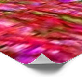 Vis Poster (Hoek)