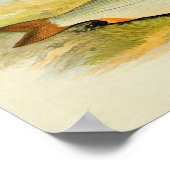  vis Print 016 | Roach (Hoek)