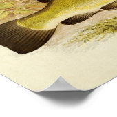  vis print 020 | Tench (Hoek)