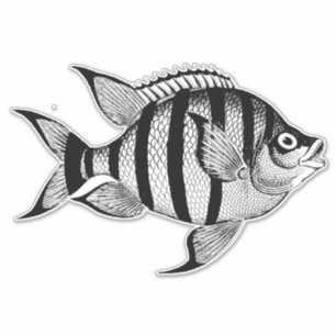 vis sealife oceaan dieren illustratie sticker