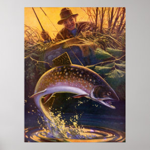  vis, sport Gevist voor Brook Trout Poster