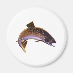  vis, sportvisserij Gevist Magneet