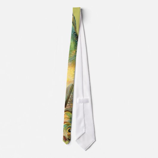  vis stropdas (Achterkant)