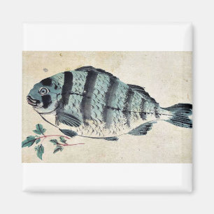 Vis Ukiyo-e. Magneet