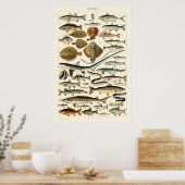  vis van Adolphe Millot Poster (Keuken)