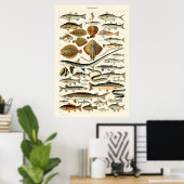  vis van Adolphe Millot Poster (Thuiskantoor)