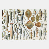 vis van de WereldPoster Inpakpapier Vel (Voorkant 3)