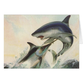 Vis - Zwarte marlijn en Mako Shark