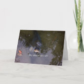 visachtig gevoel kaart (Voorkant)