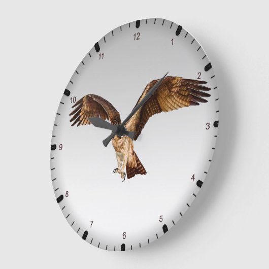 Visadelaar Grote Klok (Hoek)