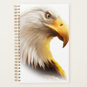 Visage d'aigle 