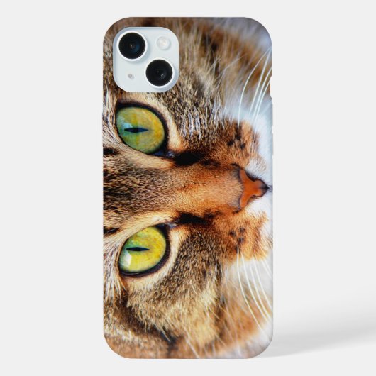 Visage de chat mignon (Verso)