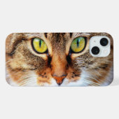 Visage de chat mignon (Verso Horizontal)