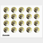 Visage de chaton mignon autocollant rond (Feuille)