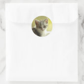 Visage de chaton mignon autocollant rond (Sac)