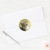 Visage de chaton mignon autocollant rond (Enveloppe)