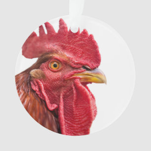 Visage de coq