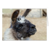 Visage de fourrure (Devant horizontal)