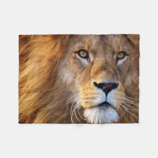 Visage de lion avec la couverture de crinière (Devant (Horizontal))