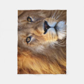 Visage de lion avec la couverture de crinière (Devant)