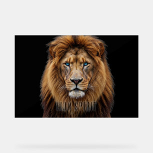 Visage de lion majestueux aux yeux bleus Faune A