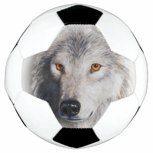 Visage de loup de bois gris