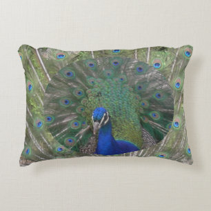 Visage de paon avec Coussin d'accentuation des plu