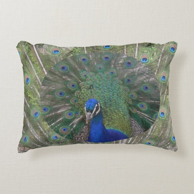 Visage de paon avec Coussin d'accentuation des plu (Devant)