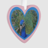 Visage de paon dans la poussière de coeur. Ornemen (devant)