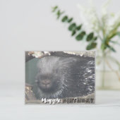 Visage de porc-épic mignon DIY Carte d'anniversair (Debout devant)