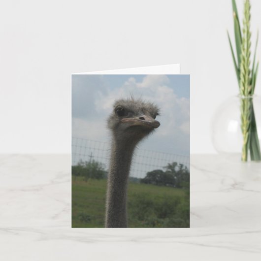 Visage d'Ostrich du Carte pour notes "Je suis déso (Devant)