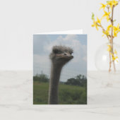 Visage d'Ostrich du Carte pour notes "Je suis déso (Fleur jaune)