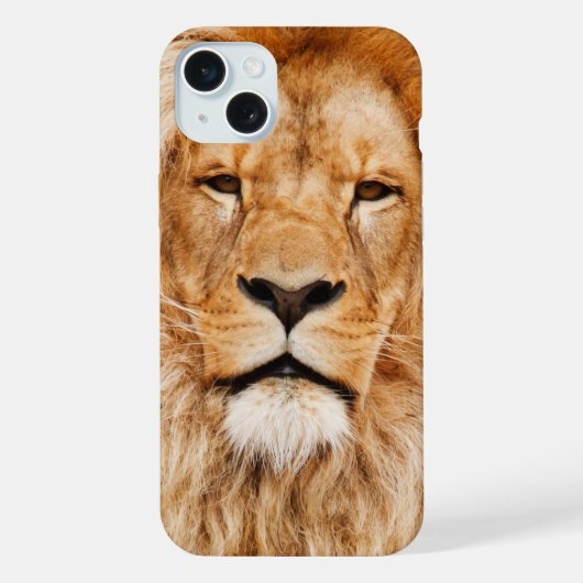 Visage du Lion (Verso)