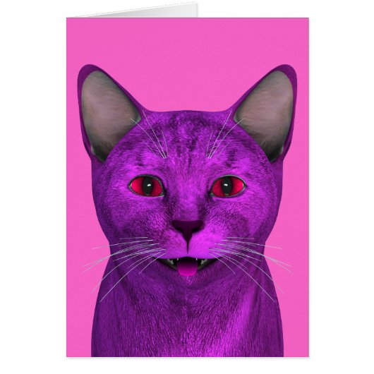 Visage Kitty violet rose (Devant)
