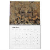Visages 2 Calendrier (Jan 2027)