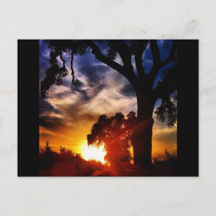Visalia Sunset Briefkaart