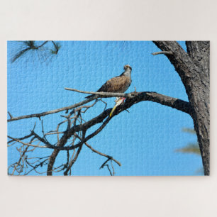 Visarend in het wild legpuzzel