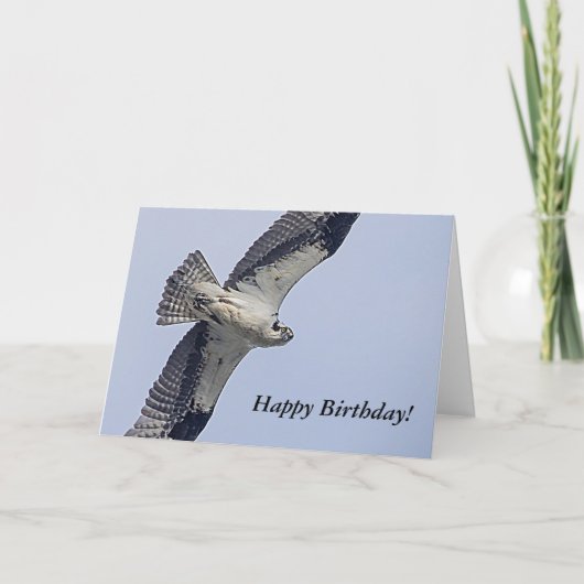 Visarend in vlucht kaart (Voorkant)