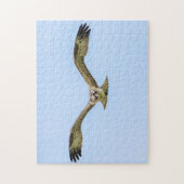 Visarend in vlucht legpuzzel (Verticaal)