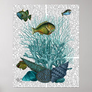 Visblauwe schelpen en koralen poster