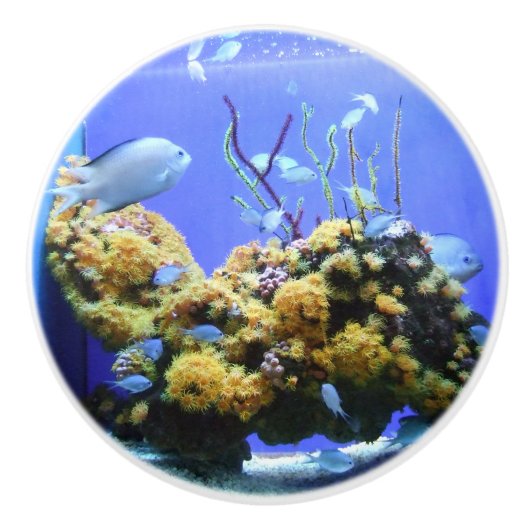 VisBowl Blue Fish Aquarium Keramische Knop (Voorkant)