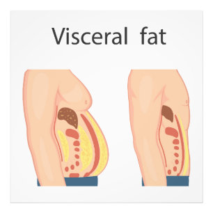 Visceraal vet foto afdruk