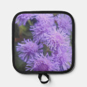 Viscountess Pannenlap (Voorkant)