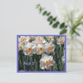 Visez-Le - Carte postale Daffodiques (Debout devant)