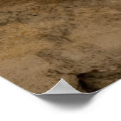 Visfossil Poster (Hoek)