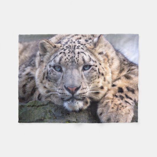 Vishnu Snow Leopard Fleece Blanket Deken (Voorkant (Horizontaal))