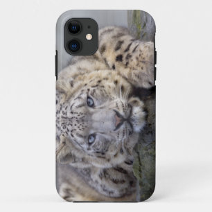 Vishnu Snow Leopard iPhone 5 Hoesje-Mate Hoesje