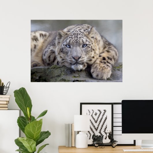 Vishnu Snow Leopard Print (Thuiskantoor)