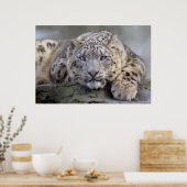 Vishnu Snow Leopard Print (Keuken)
