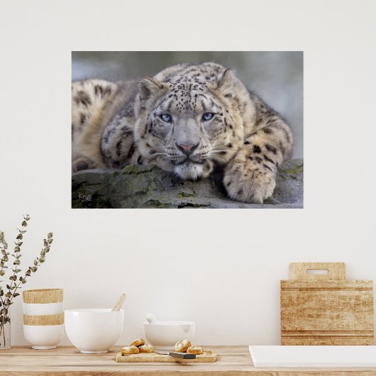 Vishnu Snow Leopard Print (Keuken)